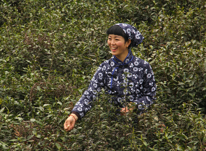 热门推荐3